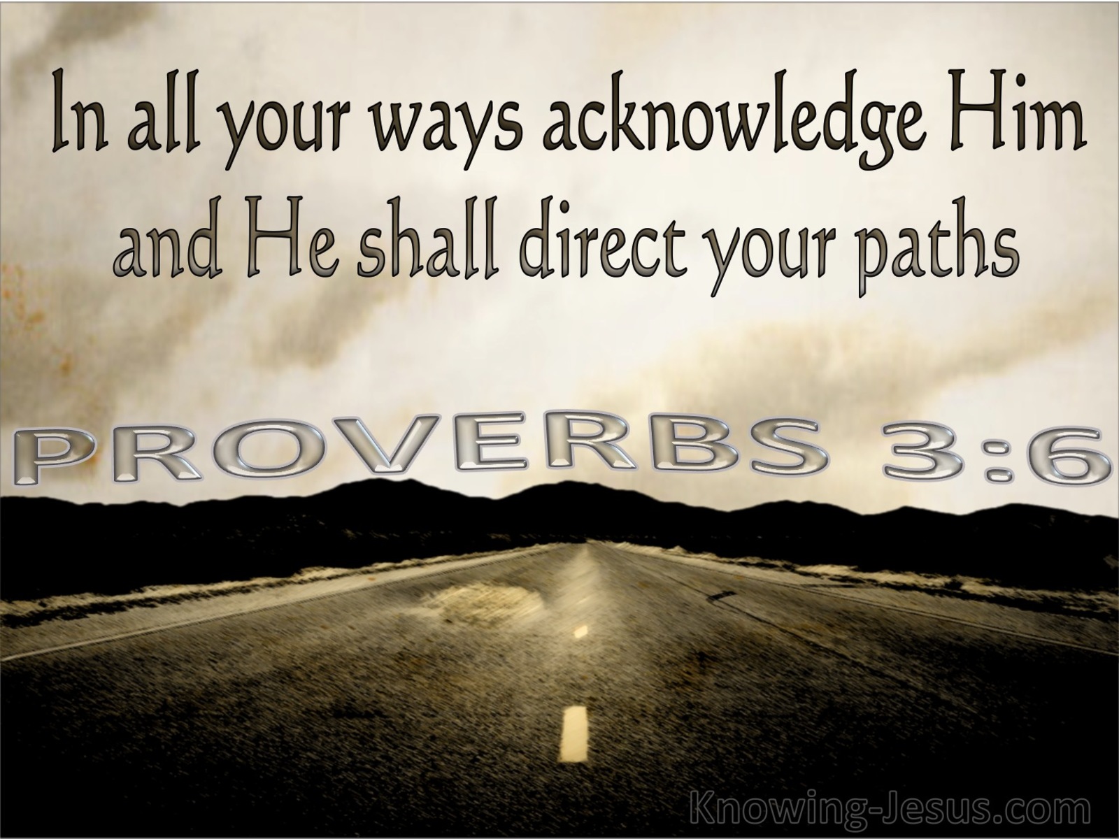 Proverbs 3:6 In All Your Ways Acknowledge Him (brown)